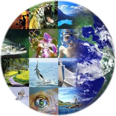 La Legge di Biodiversità (2001), uno strumento per la conservazione del patrimonio naturale brasiliano e un catalizzatore per il dibattito internazionale sulla giustizia ambientale.